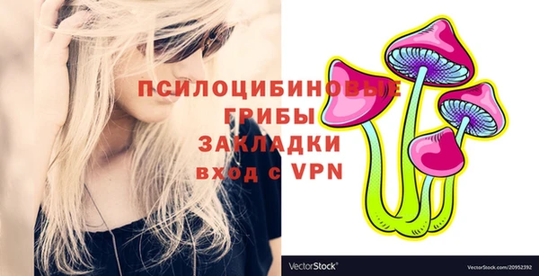 твердый Алзамай