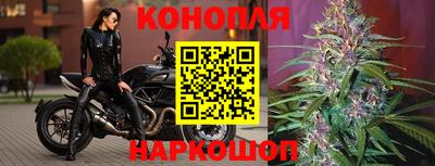 амф Усть-Джегута