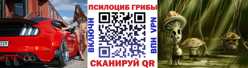 мориарти наркотические препараты  Новочеркасск  Галлюциногенные грибы мицелий  где купить наркоту 