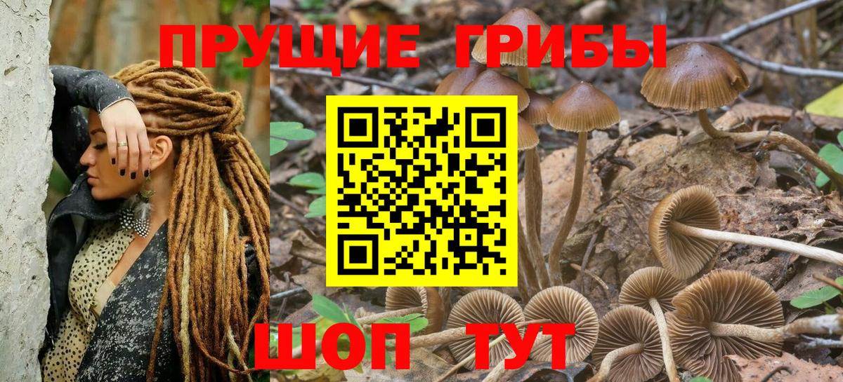 Галлюциногенные грибы Cubensis Новочеркасск