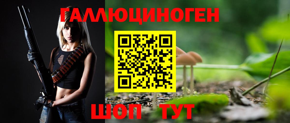 Галлюциногенные грибы GOLDEN TEACHER  Вход с VPN  Псилоцибиновые грибы Cubensis  Новочеркасск 